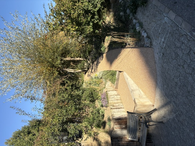 Steinteppich-Weg am Hang